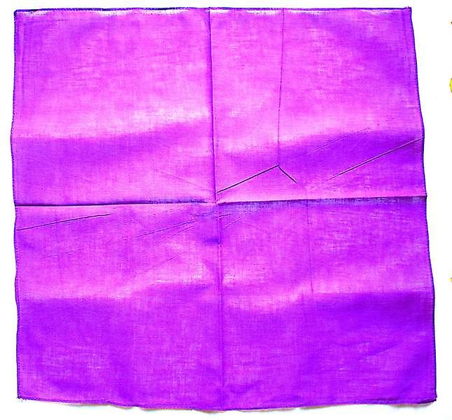 Bufanda de Bandana púrpura