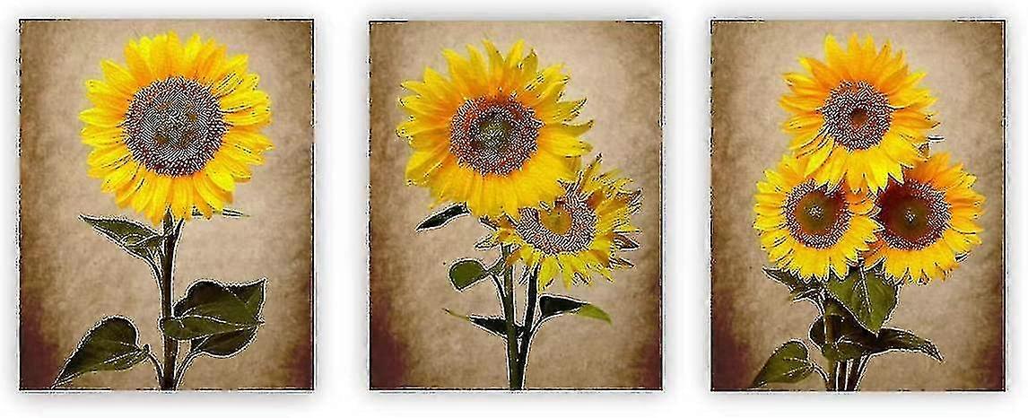 Sunflower Decorative Wall Art Posters Set Of 3 8" X 10" Canvas