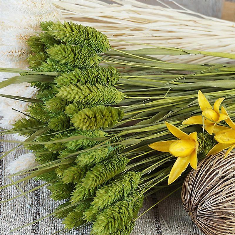 Versatile White Natural Dried Flowers 20 Stems for Decor