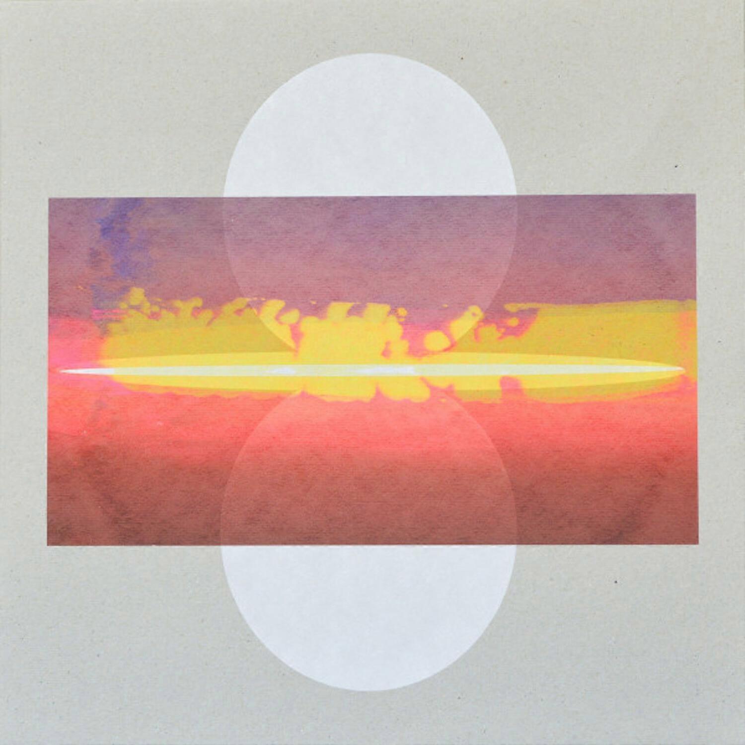 Drone Assembly - Drone Assembly  [VINYL LP] USA import