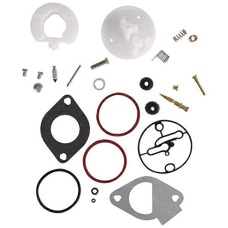 Lawn Mower Carburetor Repair Kit Carb Rebuild Set for Briggs-Stratton 11HP-19HP 796184 Master Overh