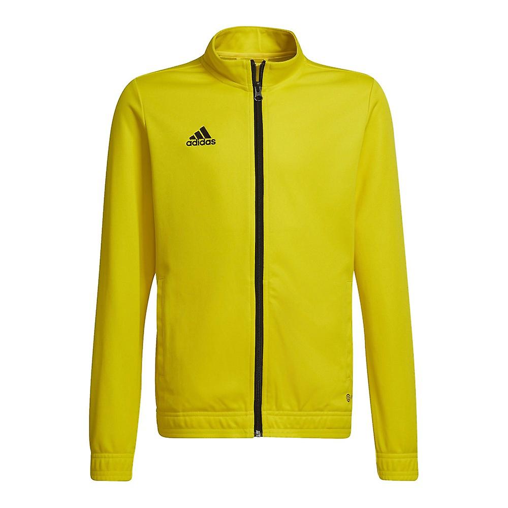Adidas Entrada 22 HI2139 training all year boy