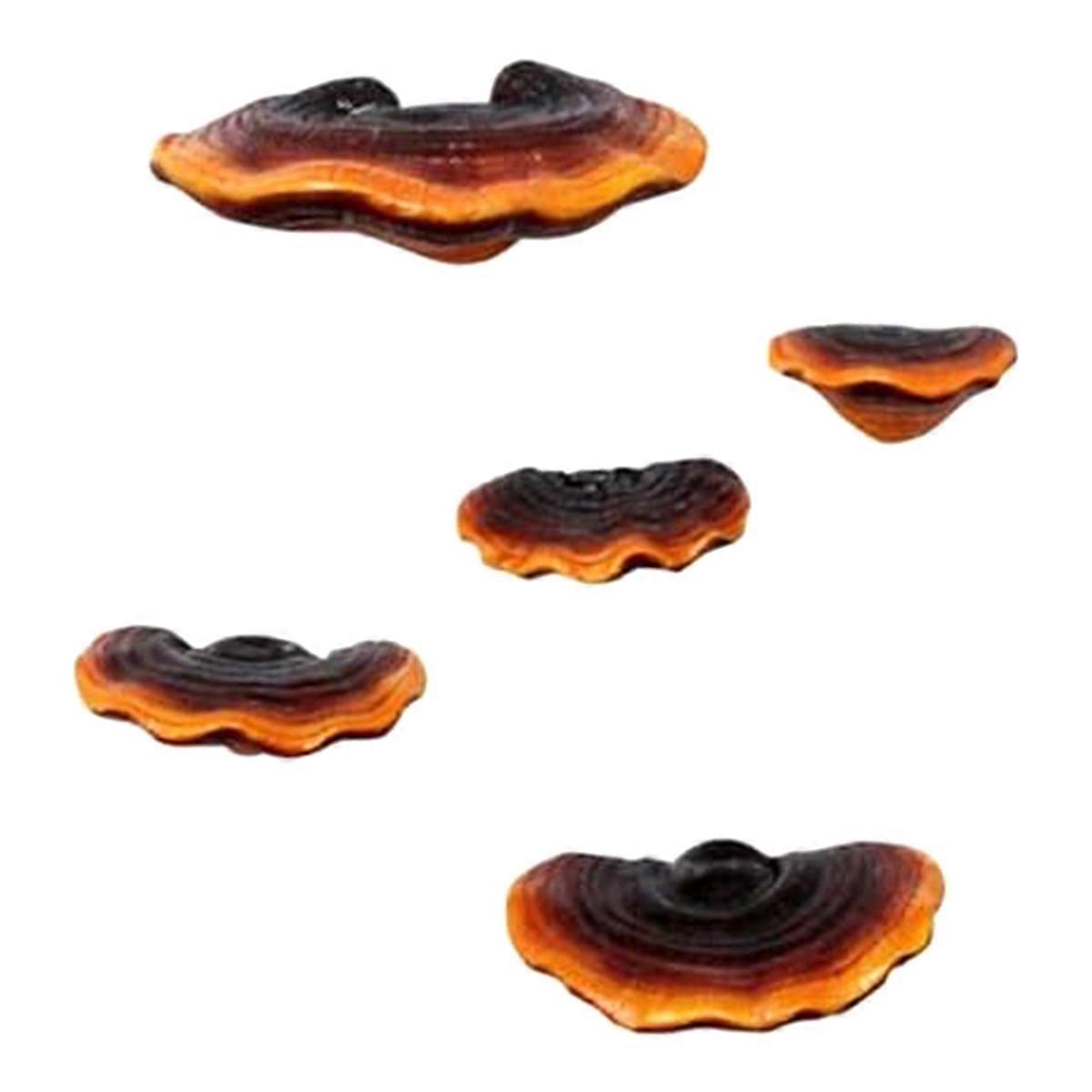 Set of 5 Mushroom Shelf Wall Decor Small Wall Shelf for Bedroom