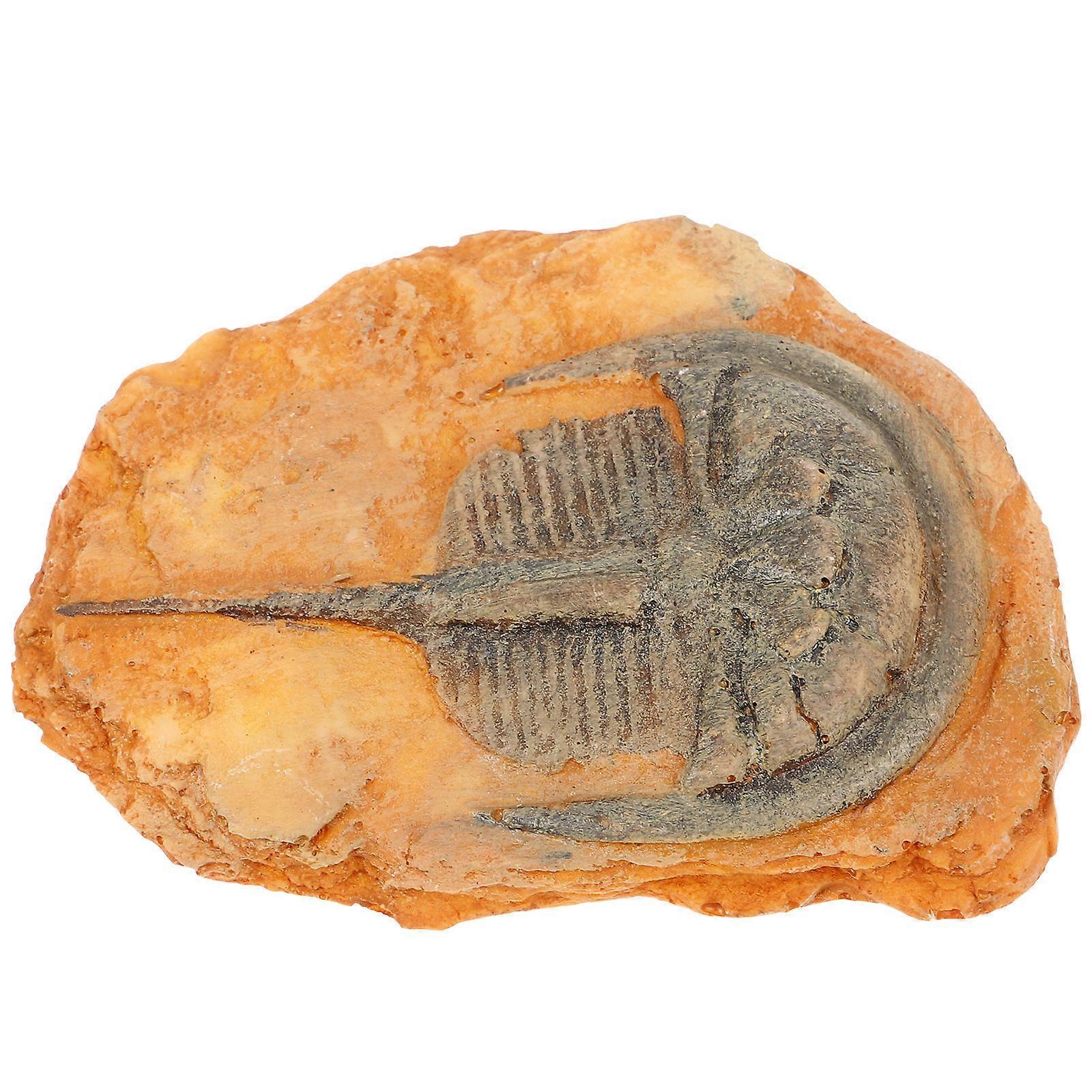 Paleontological Insect Ornament 3Pcs For Educational Purposes And Outdoor Use 3.07X2.44X0.71in With Deep Cleaning Feature