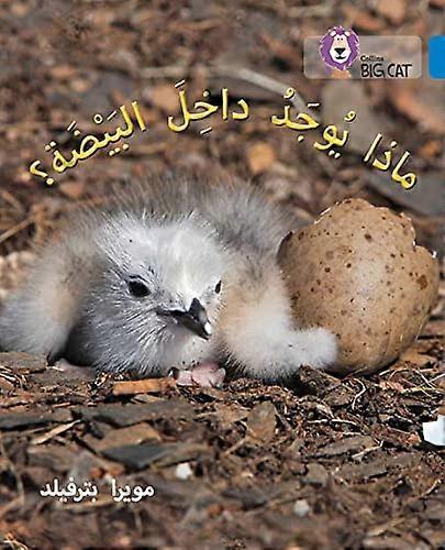 Whats in the Egg?: Level 4 (Collins Big Cat Arabic Reading Programme)