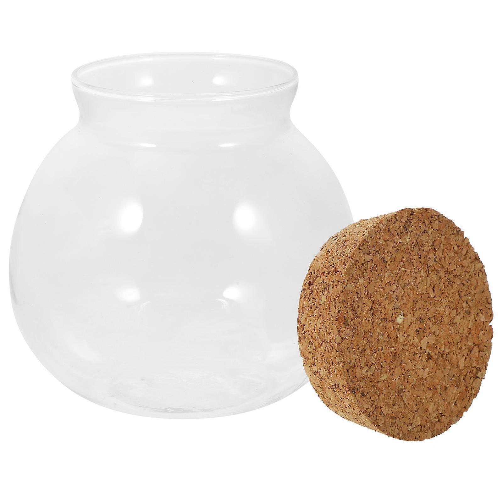 Pöytäkasvi-kasvisäiliö, vesiviljelyastia, kodin sisustukseen, läpinäkyvä, lieriömäinen lasi, yksinkertainen muotoilu, 1 pakkaus