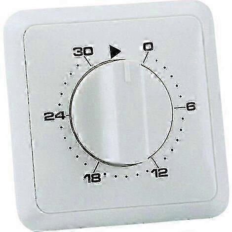 Analog Recessed Mounting Timer 30 Min Day Program