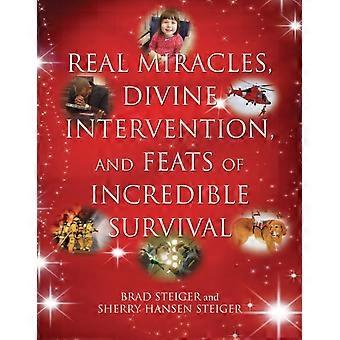 Real Miracles Divine Intervention And Feats Of Incredible Survival - Brad Steiger - Paperback - en Book