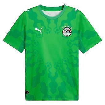 2026-2027 Egypt Goalkeeper Shirt (Green)