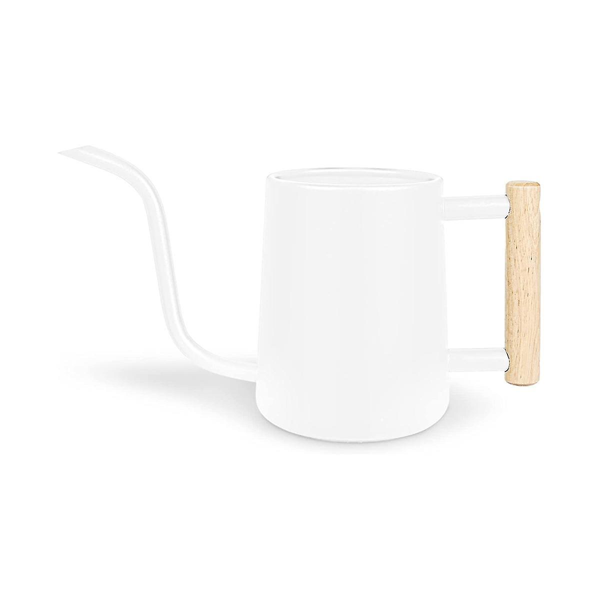 Watering Can Indoor Plants, 35 /1000 Ml Metal Stainless Steel Watering Can Pot with Long Spout for