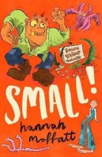 Small Sunday Times Best Books 2022 by Hannah Moffatt Paperback