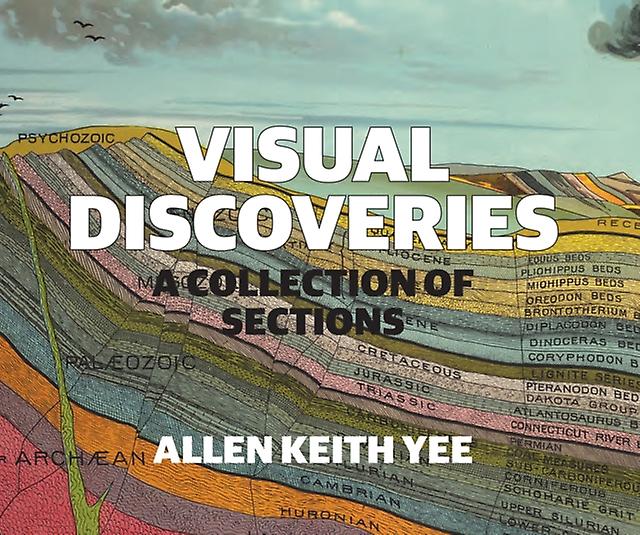 Visual Discoveries by Allen Keith Yee Paperback