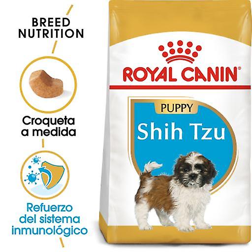 Royal Canin Shih Tzu Junior (Hunde , Hundefutter , Trockenfutter)