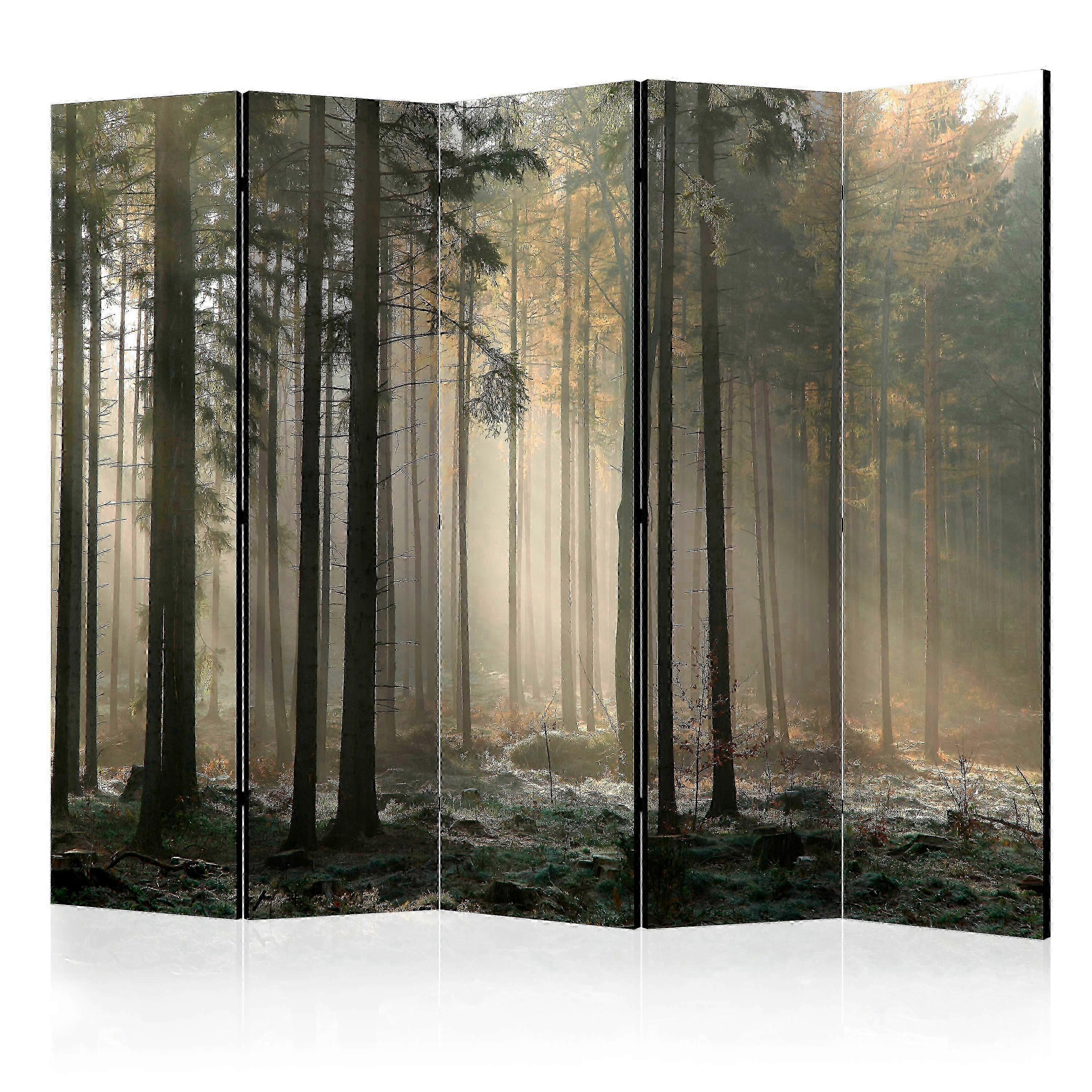 Divisor de Quarto - Nebuloso Manhã de Novembro II