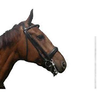 Horse Bridle With Bit