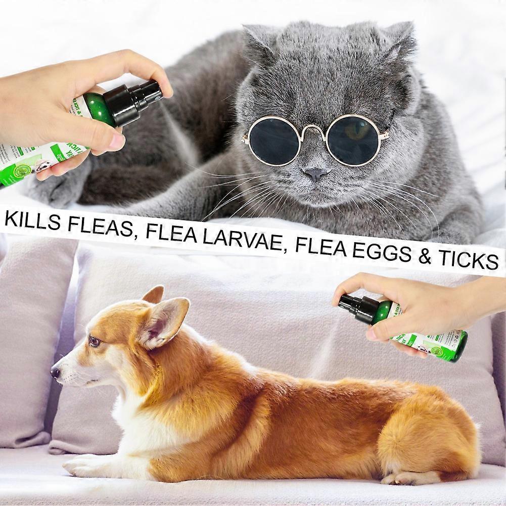 Flea, Tick Spray | 100% Natural, Allergen Free, Eco Friendly 4 Dogs ...