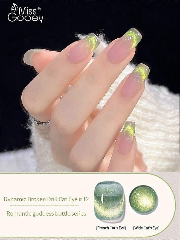 12 Renk Kırık Matkap Kedi Gözü Jel Oje Manyetik Glitter UV LED Fototerapi Islatmak