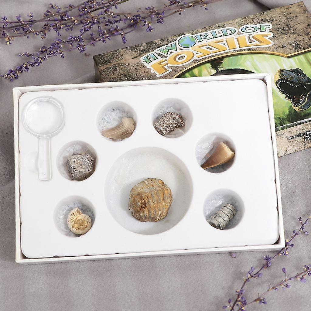 Rock & Mineral Collection PK664 Real Specimens Geology Science Kit Earth Science Toy - Pack of 7