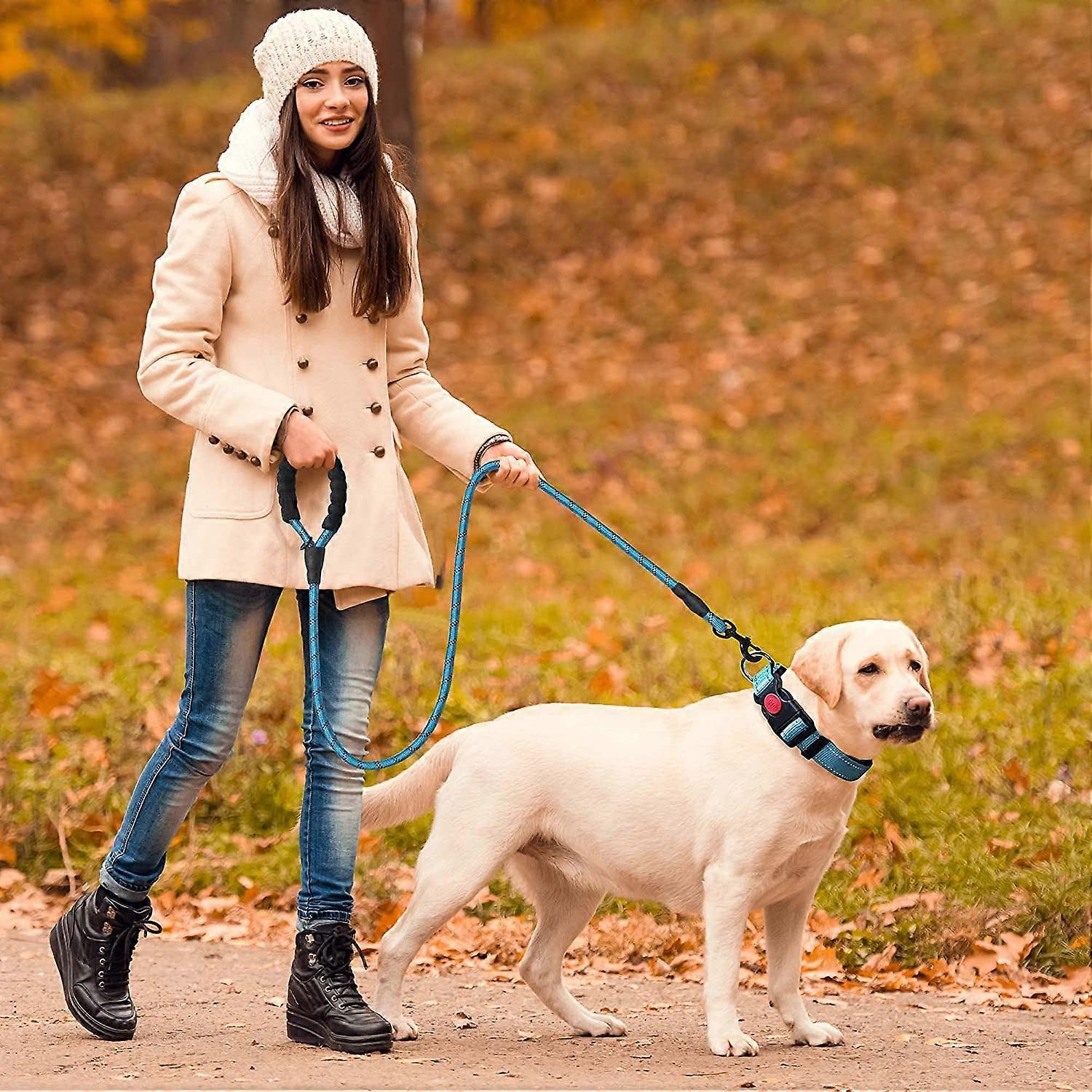 Rope Dog Leash, Nylon Dog Leash with Soft Padded Handle and Reflective Threads, 150cm x 1.2cm, Blue