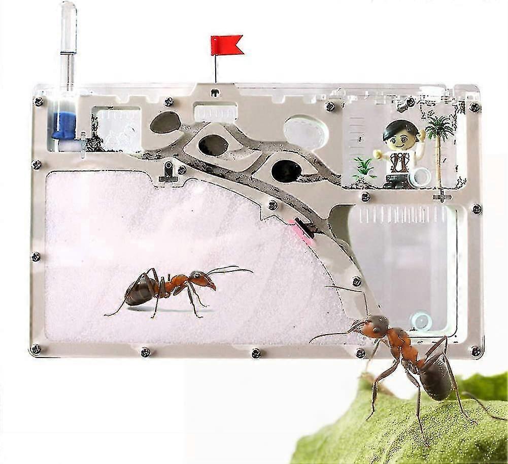 Sand Ant Farm Acrilico Trasparente Ant Castle Nest 360 Gradi Panoramic Ant Workshop Insect Box