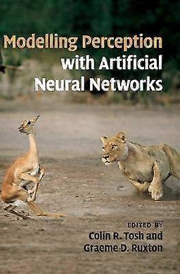 Modelling Perception with Artificial Neural Networks
