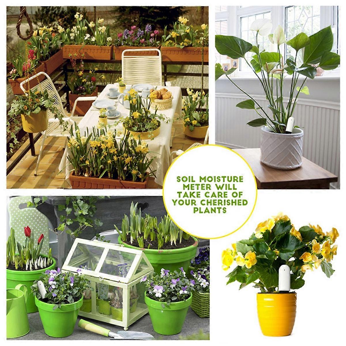 Blume Pflanze Monitor Boden Wasser Fruchtbarkeit Smart Tester Intelligenter Bluetooth-Monitor für APP