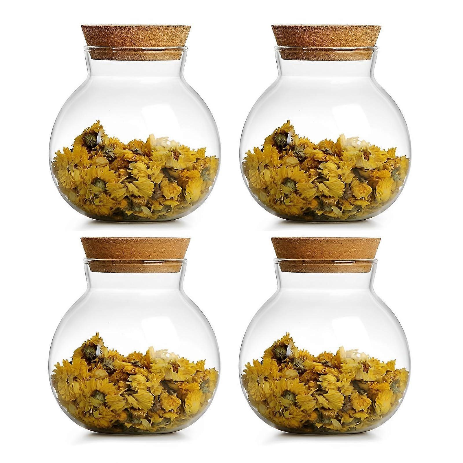 Glass Storage Jars Airtight Set of 6 17oz Round Containers for Kitchen Pantry Apothecary