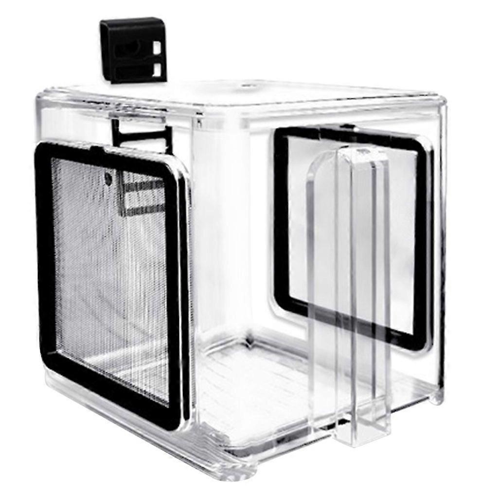 Removable Fish Insulation Box Acrylic Fish Breeding Box for Sick Fish Shrimp