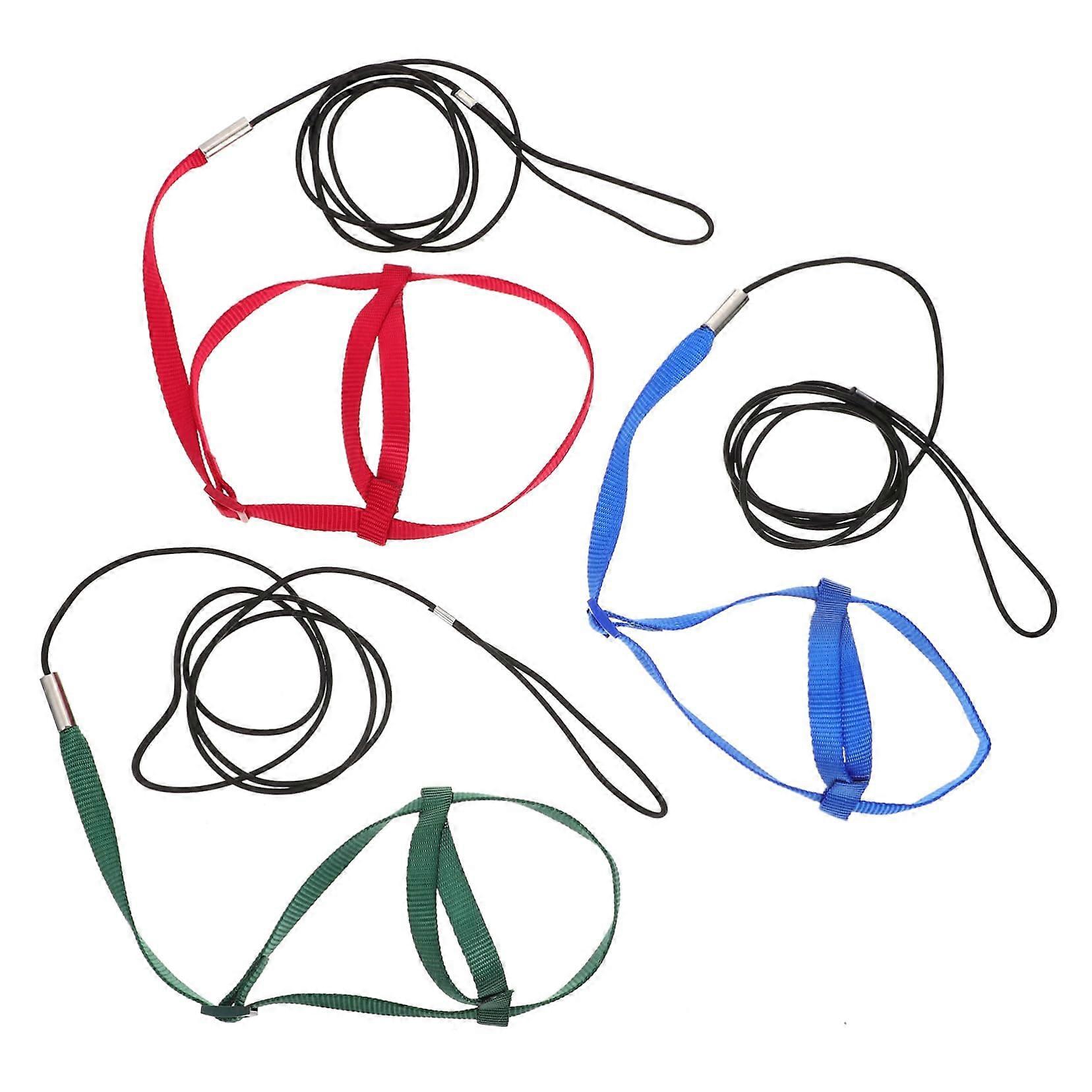 Parrot Harness Leash Set for Bird Training – Adjustable Safety Rope for Small to Medium Birds - Easy to Use and Durable