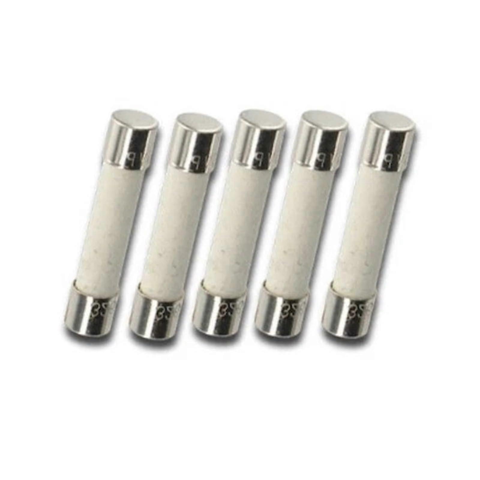 F5A 250V Fuse 5 Pack, 5 Amp Fast-Acting Electric Fuse, Circuit Protection Component, Standard Size Fuse