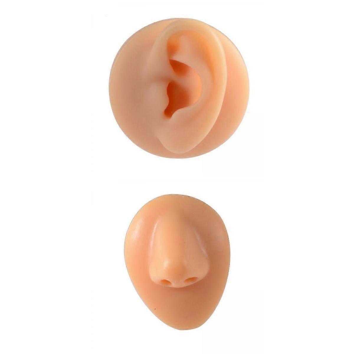 1 Set Human Body Part Model Silicone Modeling Nose Ear Bubbles for Home