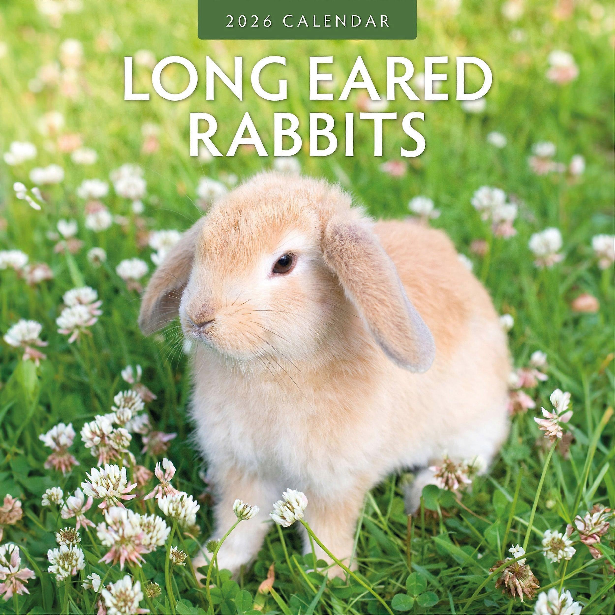 Red Robin Lop Rabbit Calendar 2026