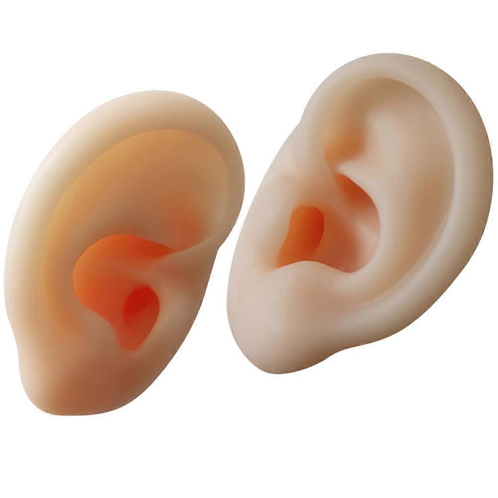 Silicone Ear Models for Ear Cleaning Practice 1Pair Realistic Education Tool