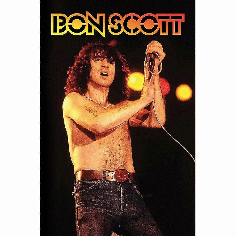 Rompecabezas Bon Scott G1394