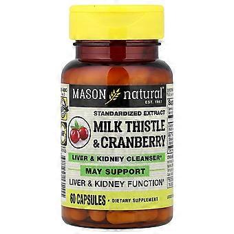 Mason Natural, Cardo de leite / Cranberry, Extrato Padronizado, Fígado e Rim Cleanser, 60 Cápsulas