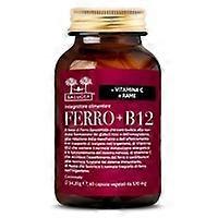 Iron + B12 60 capsules