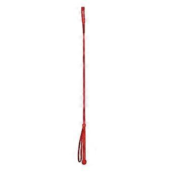 HySCHOOL Riding Whip