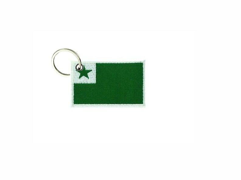 Cle Cles Key Brode Patch Ecusson Badge Flag Esperanto Door