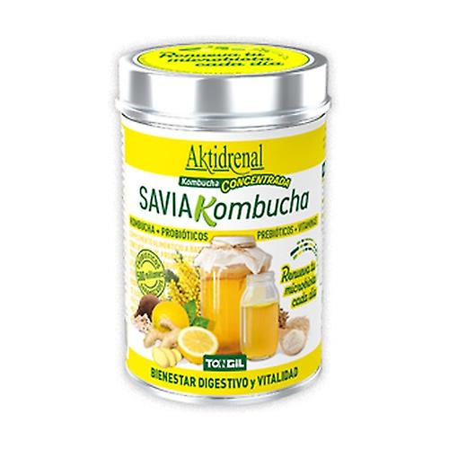 Kombucha Sap 100 g of powder