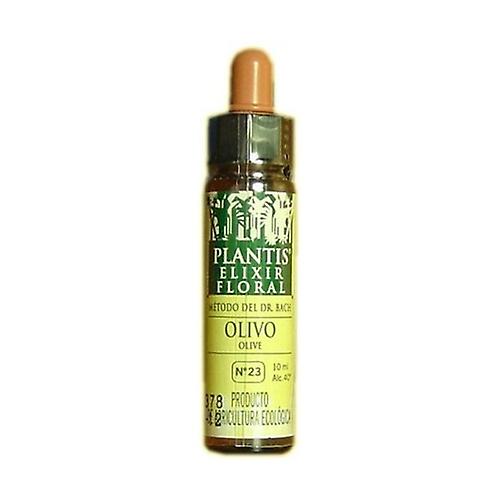 Olive No. 23 Eco 30 ml of floral elixir
