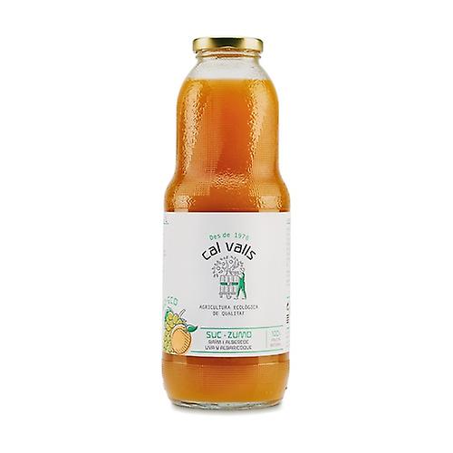 Apricot and Grape Juice Eco 1 L (Apricot - Grape)