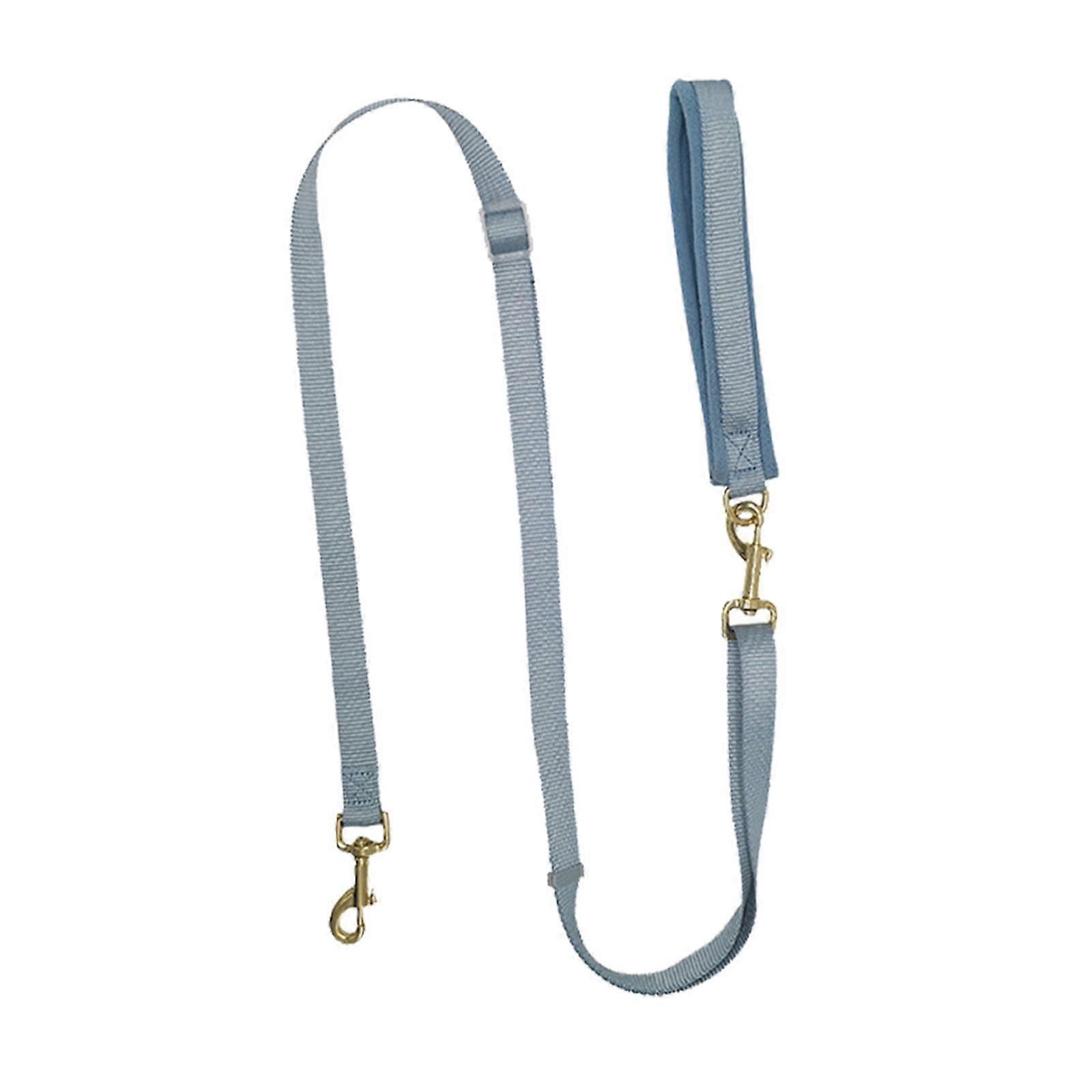 Double Ended Dog Leash Adjustable Dog Traning Walking Leash Walking Training blue