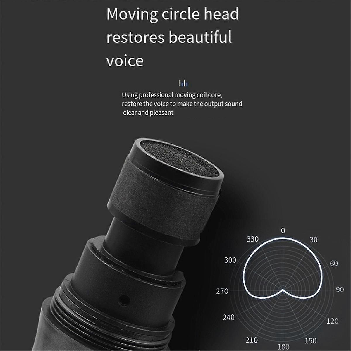 Wireless Microphone 2 Channels UHF Fixed Frequency Handheld Mic Micphone for Party Professional Sho