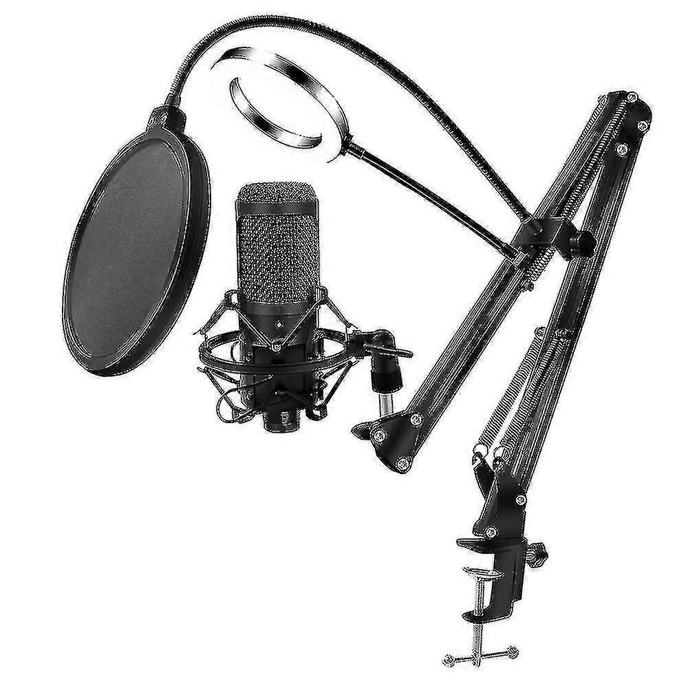 Usb Microphone Condenser D80 Recording Microphone With Stand(d809)