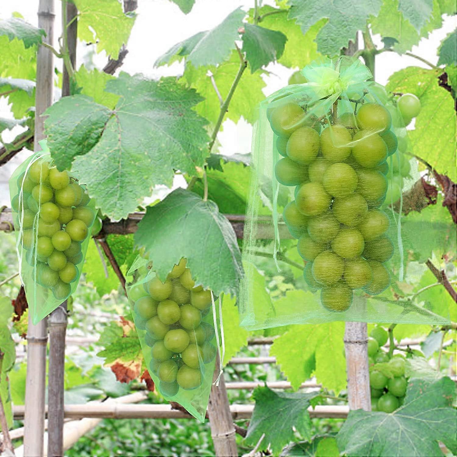 50 Pieces Grape Protection Bag, 15x10cm, Organza Bags with Drawstring, Fruit Protection Bag, Insect Net, Protection and Pest Control for Garden (Green