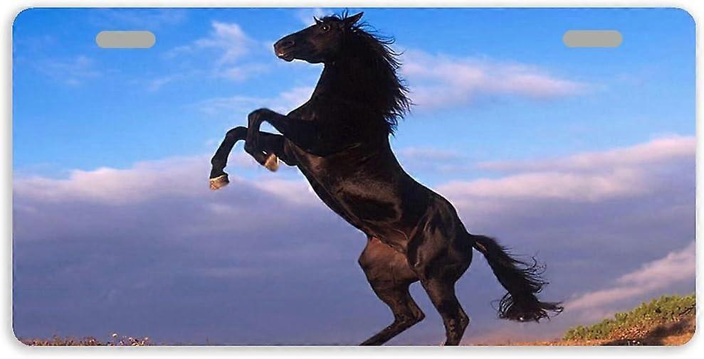 Tampa preta da placa de licença do Tag do carro do metal do cavalo auto com 2 furos 11,8 x 6,1 polegadas