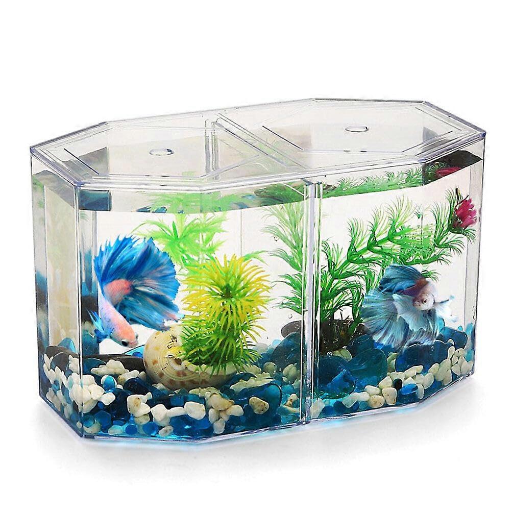 Octagonal Small Acrylic Self-Cleaning Fish Tank for Shrimp Tank