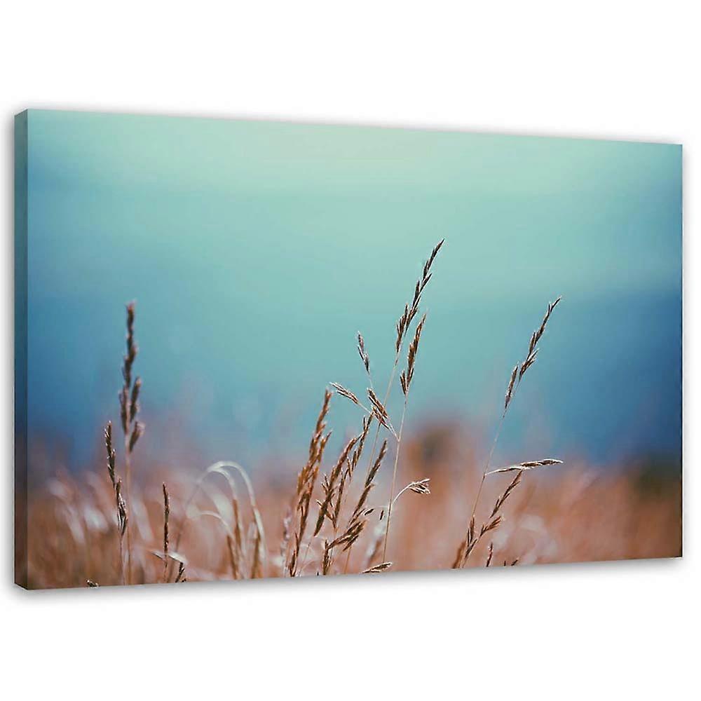 Quadro su tela, Steli d'erba - 100x70