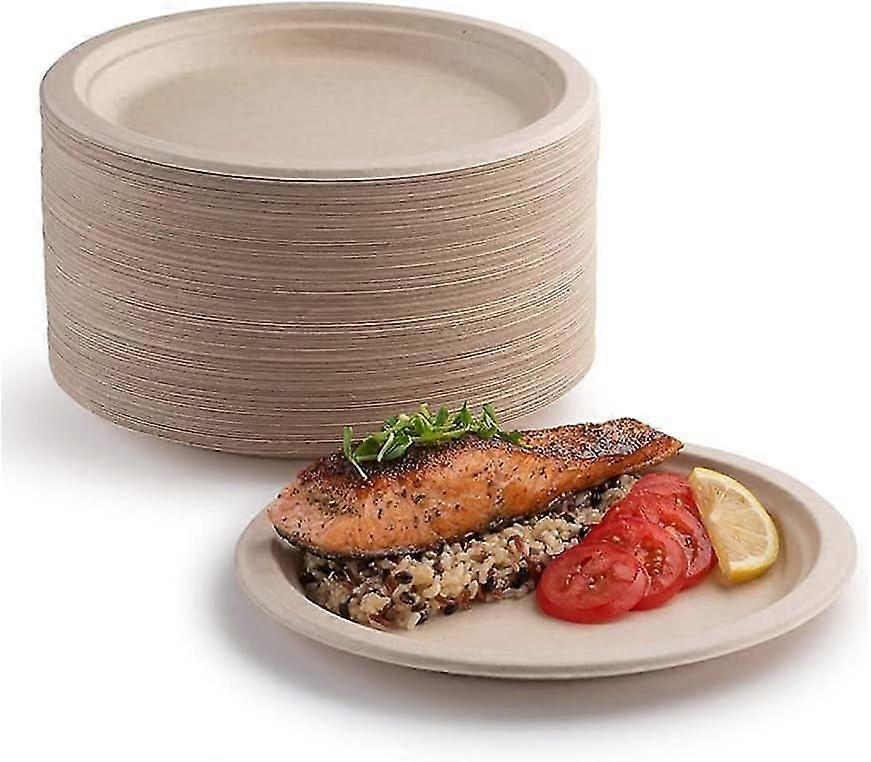 100 Pack Super Stiff Paper Plates % Biodegradable & Compostable Eco Friendly Heavy Duty Recyclable Perfect For Bbq Picnics (9")