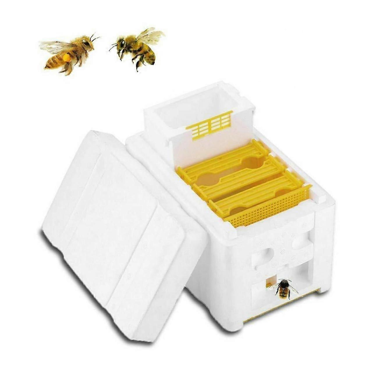 Beekeeping Tool Kit with Bee Hive Frames and Durable Bee Mating Box for Safe and Efficient Beekeeping